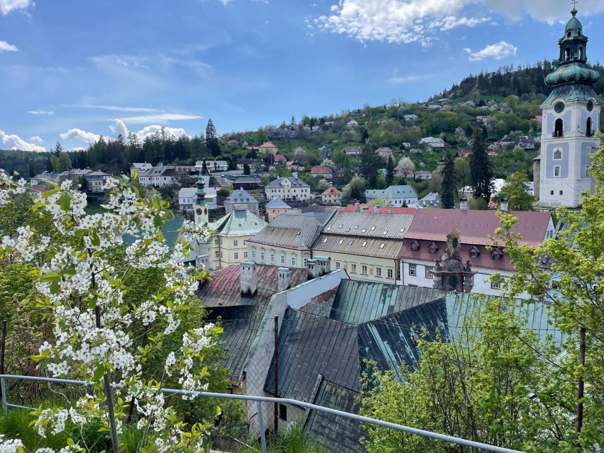 Cyprian Apartment Banská Štiavnica Exteriör bild